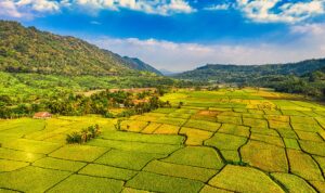 purwakarta-5-aktivitas-ekonomis-yang-menguntungkan-5260818 Purwakarta dengan landmark ikonik Tugu Kujang dan suasana kota yang modern serta bersejarah